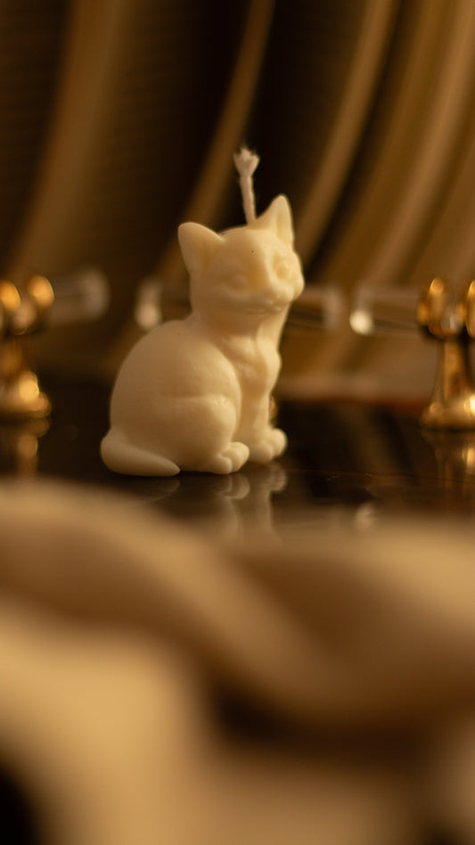 Vela gato